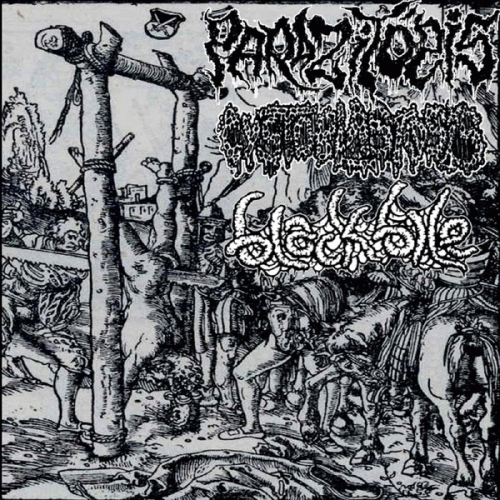 Parazitózis : Parazitózis - Cystoblastosis - Black Bile